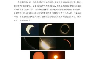 大华网汕头新闻（大华网汕头新闻最新消息）