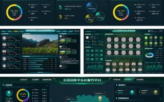 大数据分析与可视化 - 大数据分析与可视化应用实例