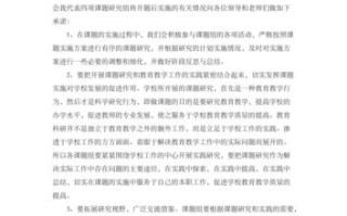大数据审计开题报告，大数据审计课题
