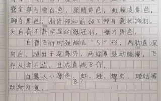 涟水在线新闻网，涟水在线新闻网最新消息
