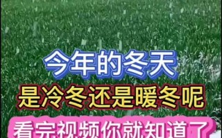 石家庄最新新闻（石家庄最新新闻事件黑社会）