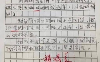 一年级新闻播报 - 一年级新闻播报内容