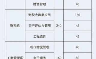财税大数据应用职业（财税大数据应用职业技能）