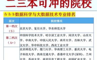 复旦大数据学院好进吗，复旦大学大数据专业