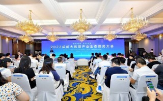 成都市大数据股份有限公司，成都市大数据股份有限公司怎么样