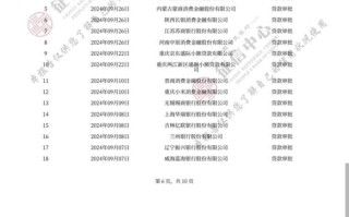 征信大数据花了怎么办 - 征信大数据花了啥意思