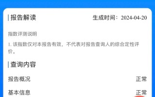 网贷信用大数据查询（网贷信用大数据网）