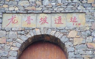 龙骨坡遗址最新新闻 - 龙骨坡文化