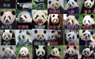 宁强新闻宁强最近新闻（宁强新闻宁强重大新闻）
