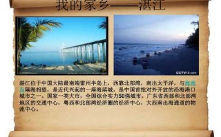 湛江新闻最新消息（湛江新闻最新消息火灾）