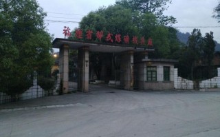 邵武新闻最新消息（邵武新闻最新消息直播）