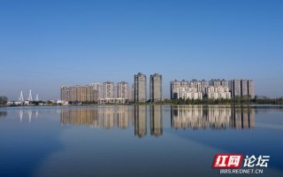 岳阳新闻网最新消息（岳阳新闻网最新消息直播）