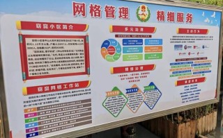 大数据时代社会治理（大数据时代社会治理的机遇有哪些）