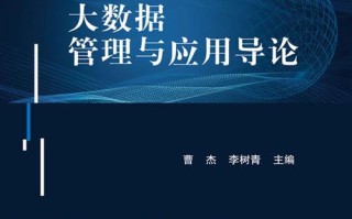 对大数据应用的理解（对大数据应用的理解和认识）