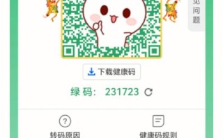 健康码大数据是什么 - 健康码和大数据码有什么不一样