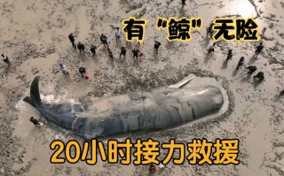 象山新闻最新消息 - 象山新闻最新消息疫情