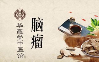 人工智能中医开方系统（人工智能中医开方系统有哪些）