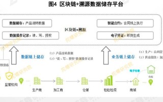 区块链的数据记录是（区块链的数据记录是什么的）