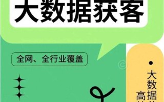 大数据获客系统（大数据获客系统 快什么）