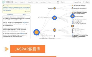 贵阳大数据交易所地址，贵阳大数据交易所app下载