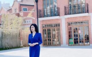 东方新闻主持人 - 东方新闻主持人李菡