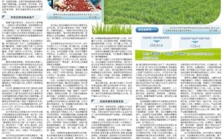 河北南皮最新新闻（南皮新型肺炎最新消息）