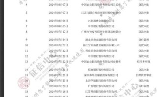 网贷个人大数据查询，网贷个人大数据查询怎么查