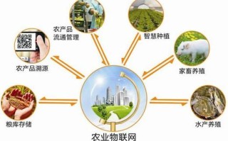 大数据应用案例（大数据应用案例介绍）