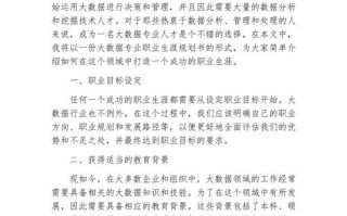 大数据技术毕业规划，大数据技术毕业规划书