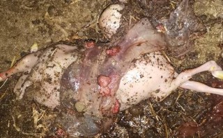 潞城电视台新闻 - 潞城新闻综合频道