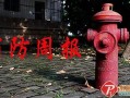海康威视最新消息新闻（海康威视最新消息新闻报道）