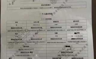 征信大数据是什么意思（征信大数据代表什么）