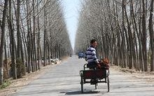 商水县胡吉镇新闻 - 商水县胡吉镇党委书记是谁