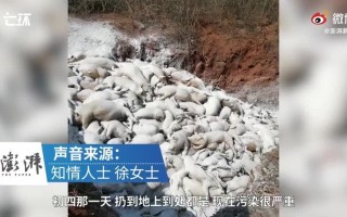 景德镇新闻最新消息 - 景德镇新闻最新消息车祸事件