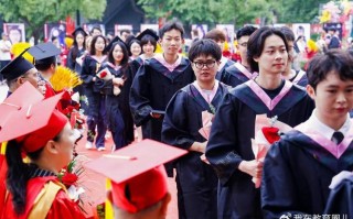人工智能专业培养方案（人工智能专业培养计划）
