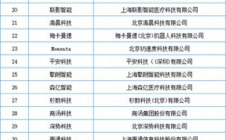 人工智能企业排名，人工智能前10企业名单