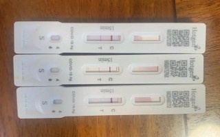 新型肺炎大数据平台 - 新型肺炎大数据平台查询