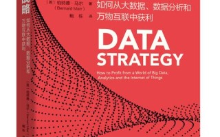 大数据平台开发计划 - 大数据平台开发是做什么的