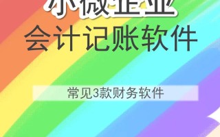 大数据会计用到的软件（大数据会计有前途吗）