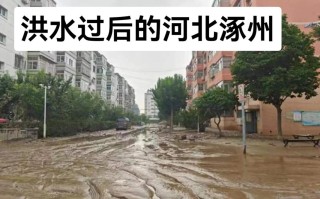 涿州新闻最新消息，涿州新闻最新消息2024