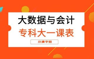 大数据会计职业基础，大数据会计职业基础实训报告