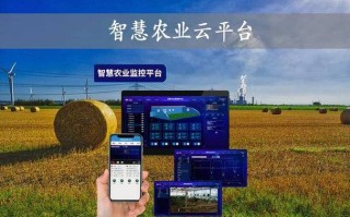 陇南乡村大数据公众号，陇南乡村大数据平台app