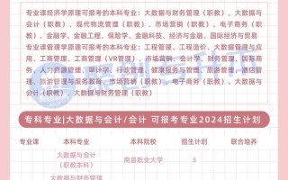 大数据与会计相关技能 - 大数据与会计的应用领域