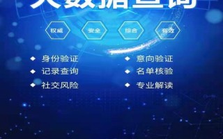 哪里查个人网贷大数据 - 在哪里查自己的网贷大数据