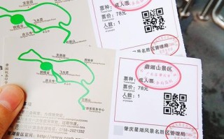 鼎湖新闻最新消息 - 鼎湖电视台今日新闻