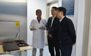 衡东新闻最新消息，衡东新闻最新消息视频