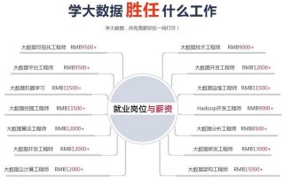 数据挖掘与大数据 - 数据挖掘与大数据分析哪本教材