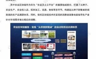 区块链财政应用（区块链财政应用案例分析）