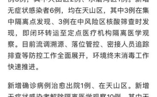 疫情适时大数据报告，疫情适时大数据报告怎么查