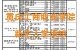 重庆专升本人工智能，重庆专升本人工智能可以报考哪些大学
